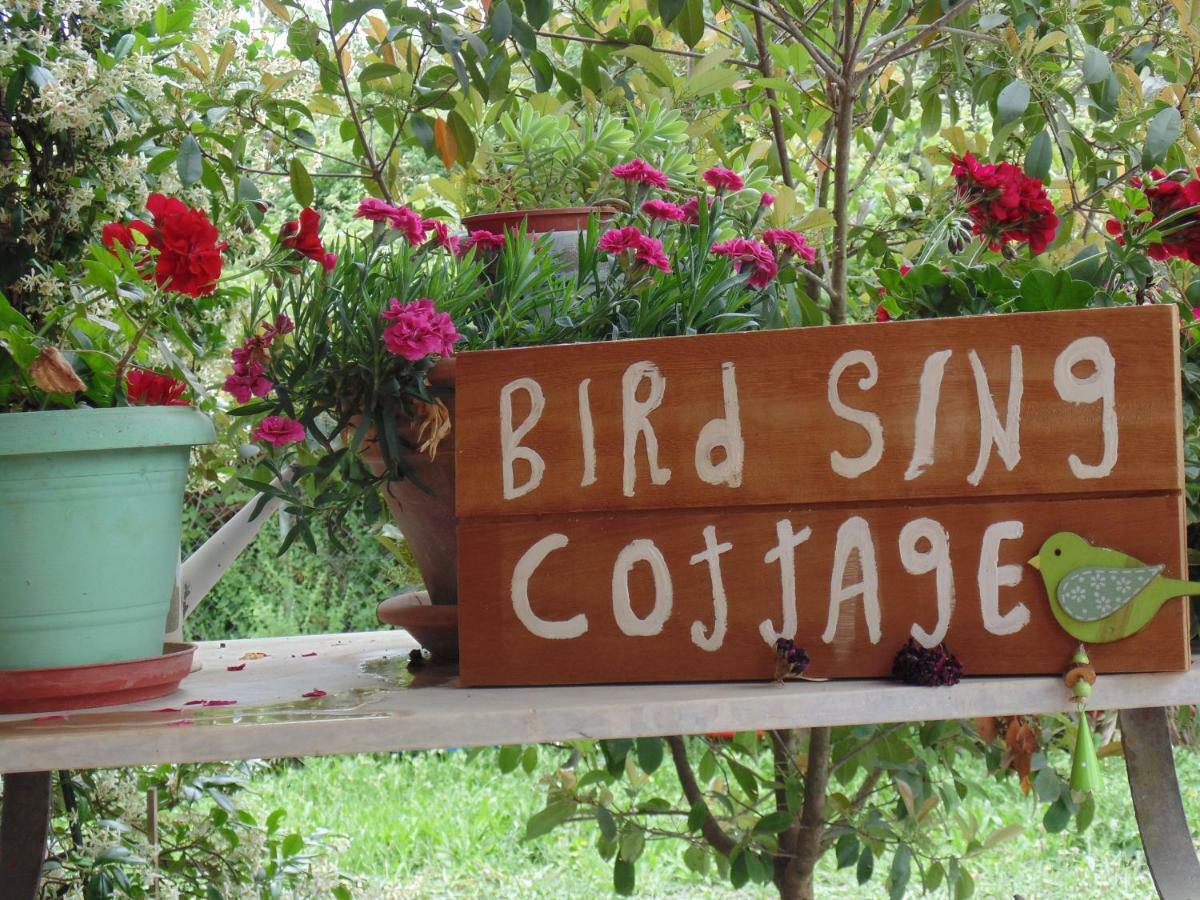 Birdsing Cottage Dassia  Bagian luar foto